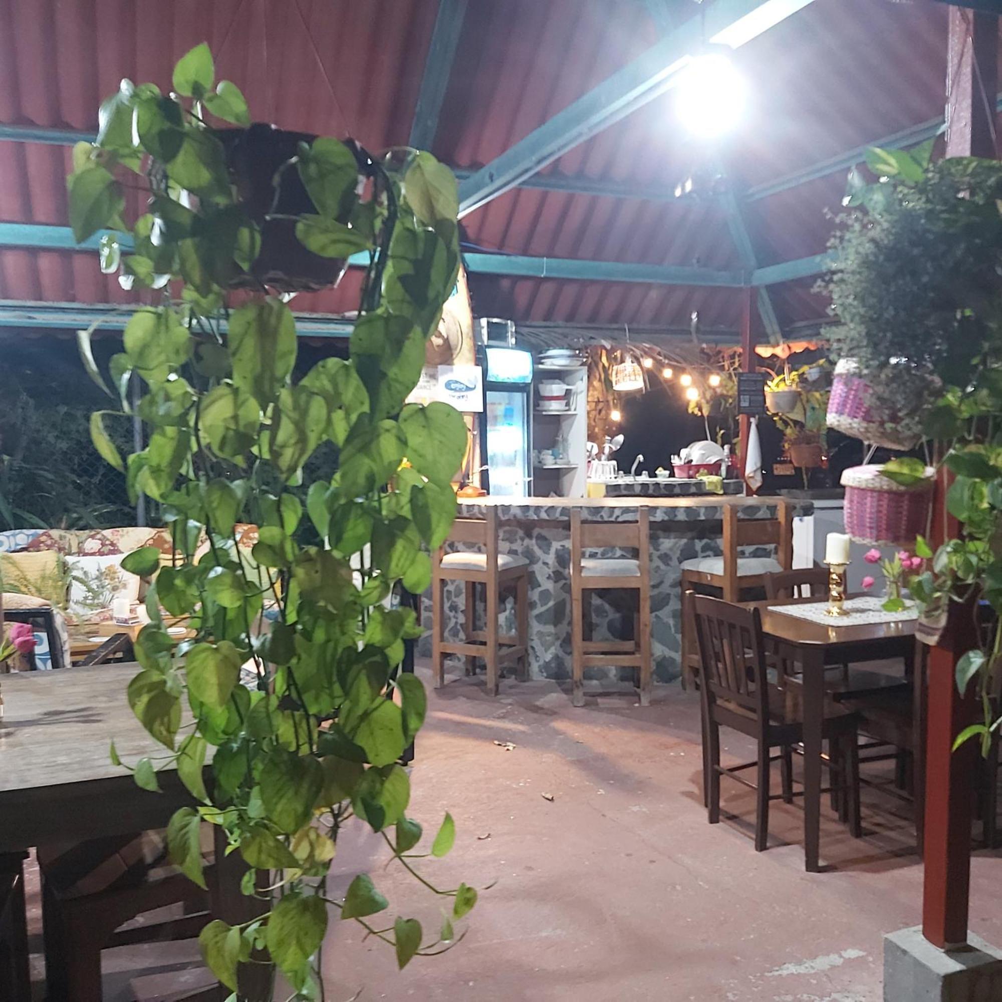 Sweet Dreams Bed & Breakfast San Carlos Bagian luar foto