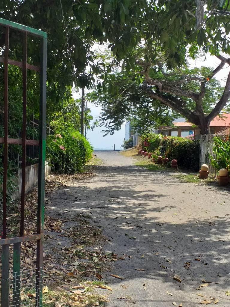 Sweet Dreams Bed & Breakfast San Carlos Bagian luar foto