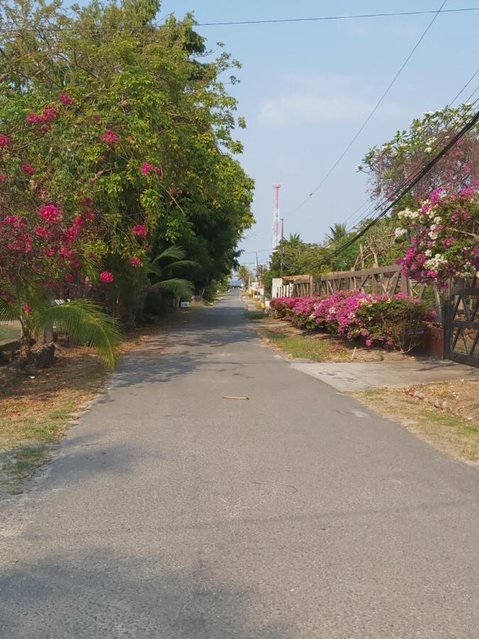 Sweet Dreams Bed & Breakfast San Carlos Bagian luar foto